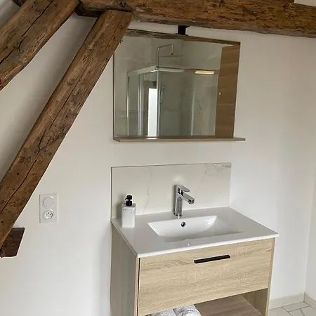 La Champenoise La Tannerie Apartment Troyes Exterior photo
