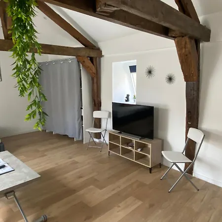 La Champenoise La Tannerie Apartment Troyes Exterior photo
