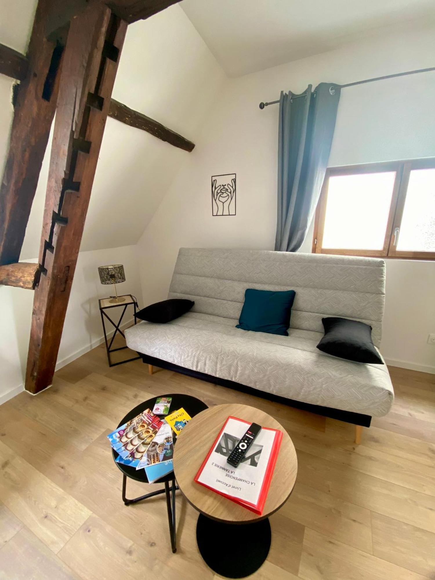 La Champenoise La Tannerie Apartment Troyes