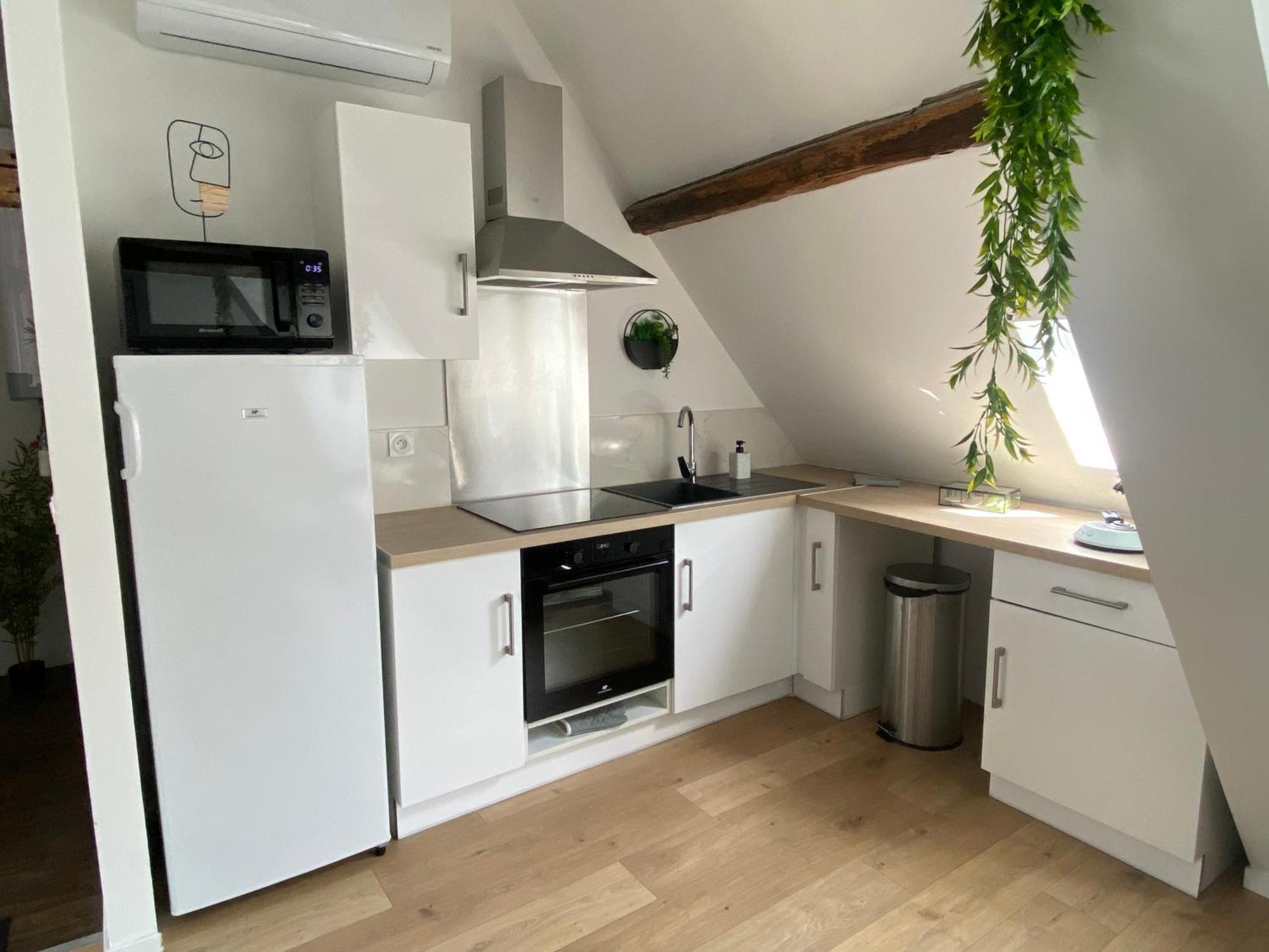 Apartment La Champenoise La Tannerie Troyes